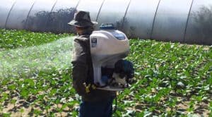 Pulverizator 4 timpi Makita stropire