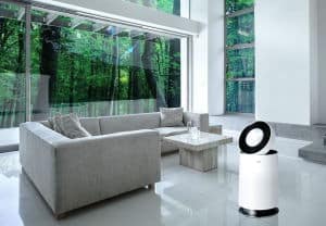 LG PuriCare Wi-Fi AS60GDWV0